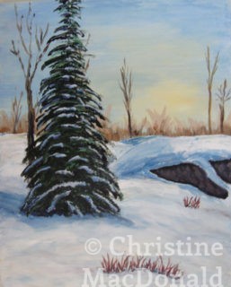 Winter Stream - Two | Christine MacDonald