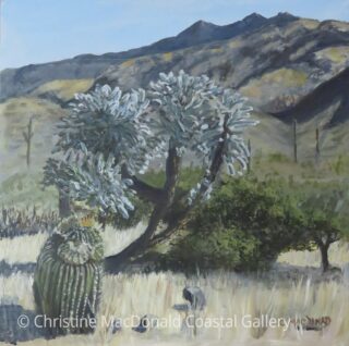 Teddy Bear Cholla Acrylic 12 x 12