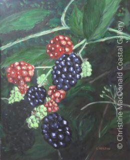 Big Blackberries 16 x 20 Flora 2004