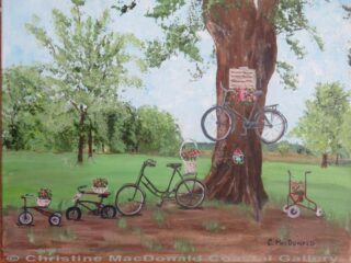 Bicycles near the Elbe River